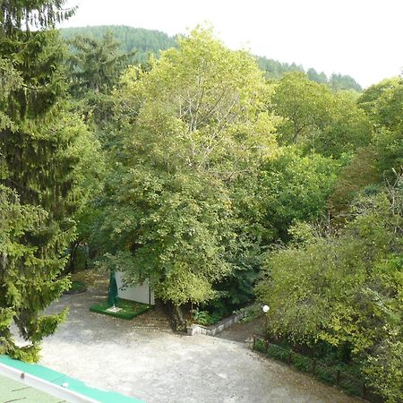 שומן Family Park Hotel Kyoshkove מראה חיצוני תמונה